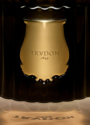 Ernesto Reed Diffuser Trudon Ernesto Reed Diffuser Green wps0670278