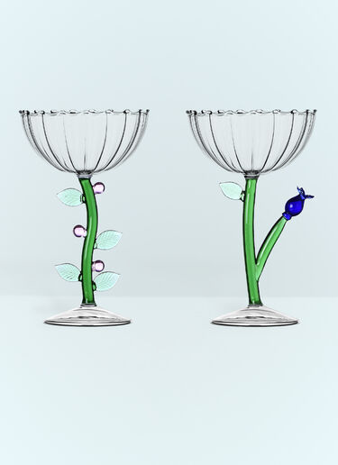 Set Of Six Botanica Champagne Glasses Ichendorf Milano Set Of Six Botanica Champagne Glasses Clear wps0691236