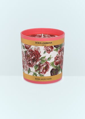 Dolce & Gabbana Casa Musk Rose Scented Candle Pink wps0691249