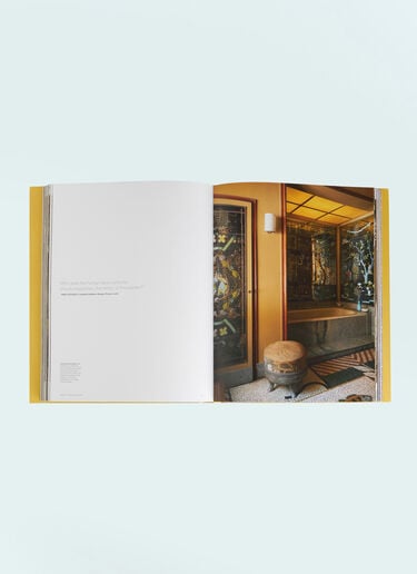 Flammarion Venice: A Private Invitation Book Brown wps0691283