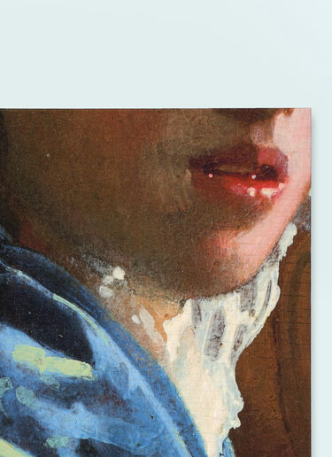 Vermeer: The Rijksmuseum Major Exhibition Catalogue Book Thames & Hudson Vermeer: The Rijksmuseum Major Exhibition Catalogue Book Multicolour wps0691296