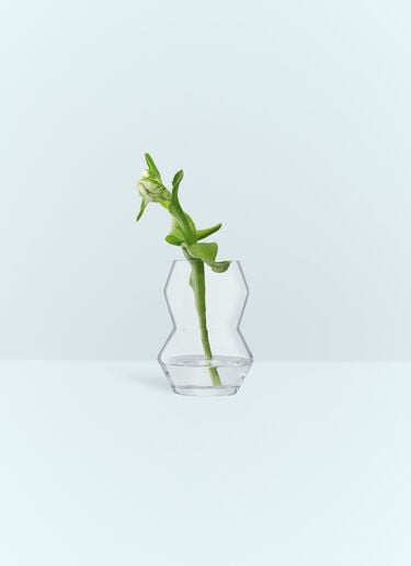 LSA International Small Sculpt Vase Clear wps0691316