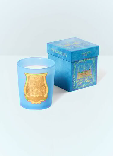 Versailles Small Candle Trudon Versailles Small Candle Blue wps0691644