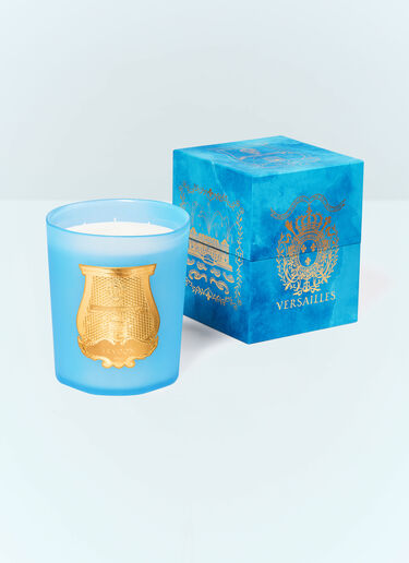 Versailles Large Candle Trudon Versailles Large Candle Blue wps0691645
