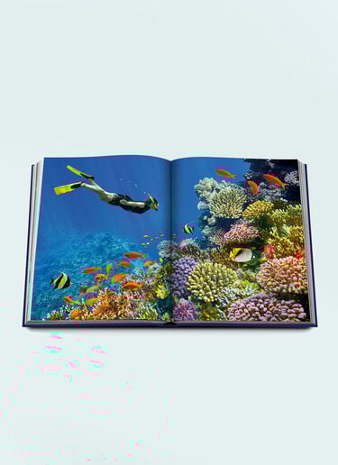 Assouline Ocean Wanderlust Blue wps0691687