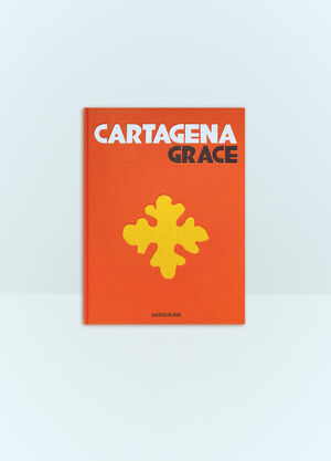 Assouline Cartagena Grace Orange wps0691714