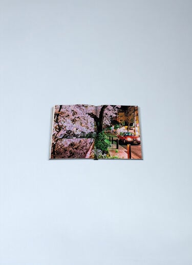 Assouline Kyoto Serenity Blue wps0691908
