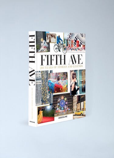 Fifth Avenue: 200 Years of Stories And Legends Assouline Fifth Avenue: 200 Years of Stories And Legends White wps0691909