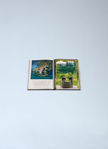 Assouline Wine & Travel Italy Pink wps0691915