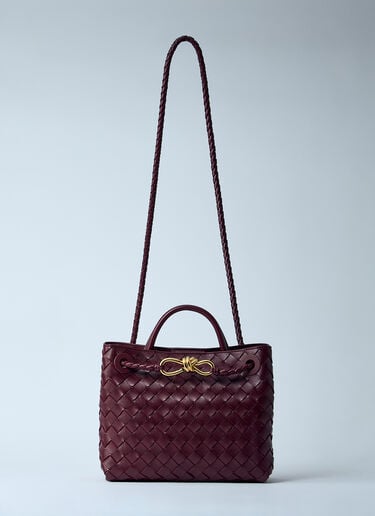 Small Andiamo Handbag Bottega Veneta Small Andiamo Handbag Burgundy bov0259030