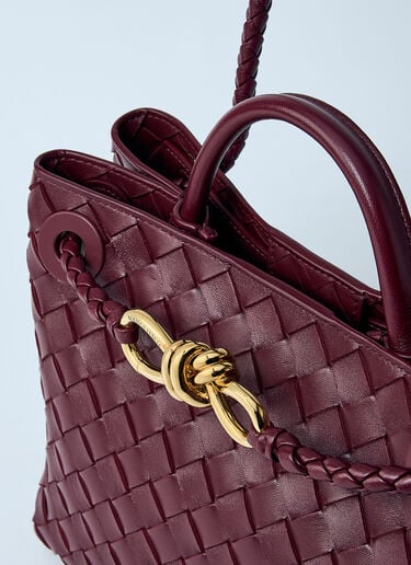 Small Andiamo Handbag Bottega Veneta Small Andiamo Handbag Burgundy bov0259030