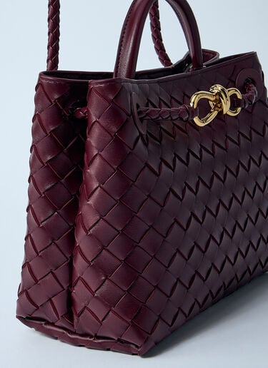 Small Andiamo Handbag Bottega Veneta Small Andiamo Handbag Burgundy bov0259030
