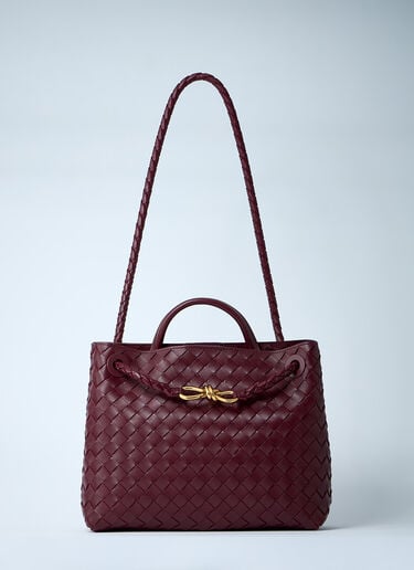 Bottega Veneta 中号 Andiamo 手提包 酒红色 bov0260013