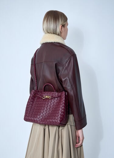 Bottega Veneta Medium Andiamo Handbag Burgundy bov0260013