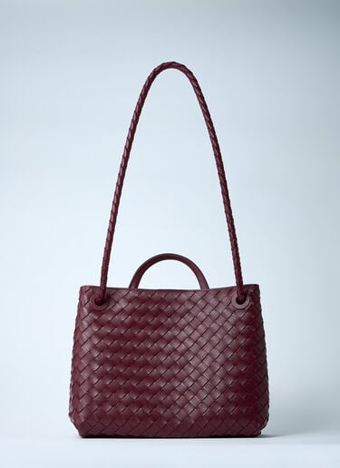Bottega Veneta 中号 Andiamo 手提包 酒红色 bov0260013