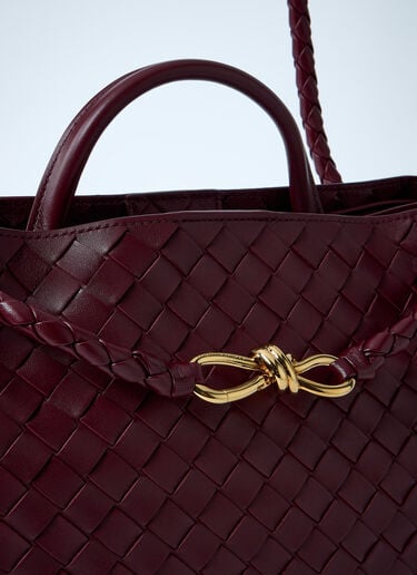 Bottega Veneta 中号 Andiamo 手提包 酒红色 bov0260013