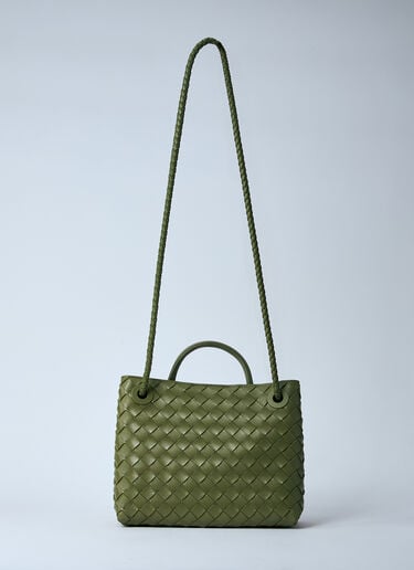 Small Andiamo Handbag Bottega Veneta Small Andiamo Handbag Green bov0260037