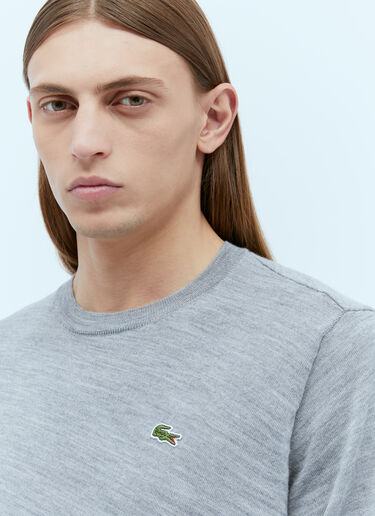 x Lacoste 徽标刺绣毛衣 Comme des Garçons SHIRT x Lacoste 徽标刺绣毛衣 灰色 cdg0154003