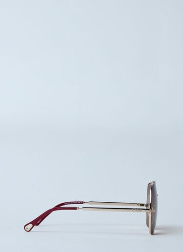CH0278S サングラス Chloé CH0278S サングラス ブラウン cls0259004