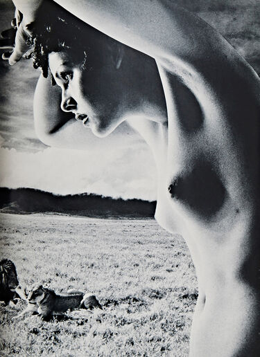 Books Ema Nude in Africa - Masaya Nakamura Black dbr0590005
