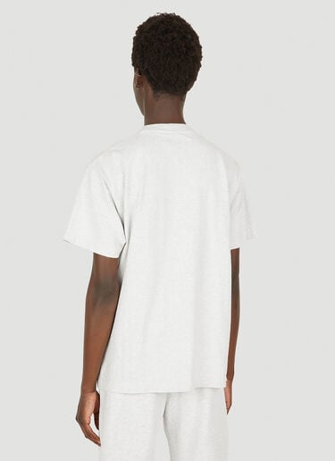 Big Dog T-Shirt Ecosystem x DRx Big Dog T-Shirt Grey eco0149001
