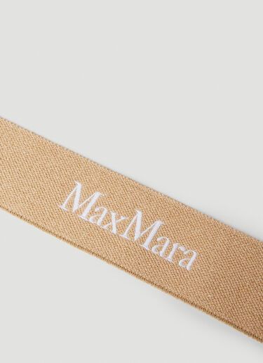 우븐 벨트 Max Mara 우븐 벨트 Brown max0252031