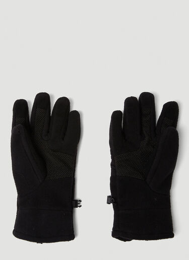 The North Face [데날리] 플리스 장갑 블랙 tnf0150025