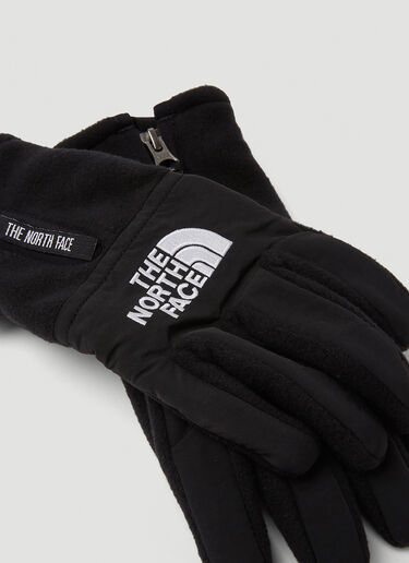 The North Face [데날리] 플리스 장갑 블랙 tnf0150025