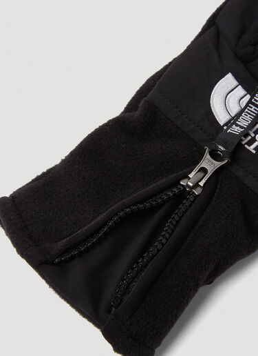 The North Face [데날리] 플리스 장갑 블랙 tnf0150025