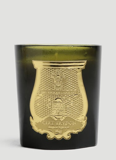 Odalisque Candle Trudon Odalisque Candle Green wps0644243