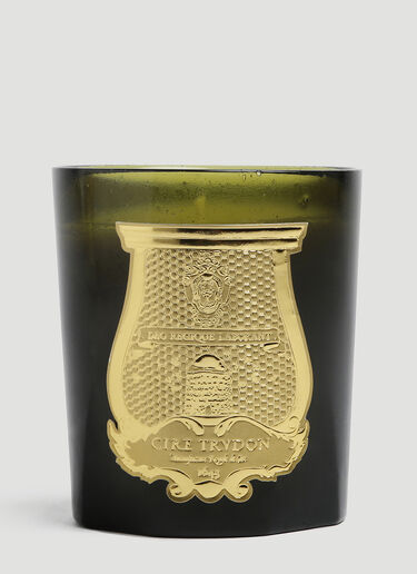 Trudon Spiritus Sancti Candle Green wps0644246