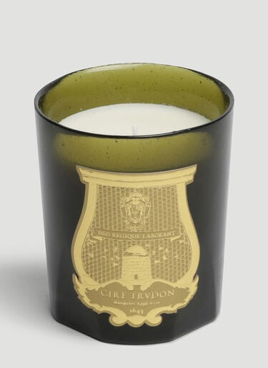 Trudon Ernesto Large Candle Green wps0644251