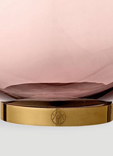 Globe Vase AYTM Globe Vase Pink wps0670076