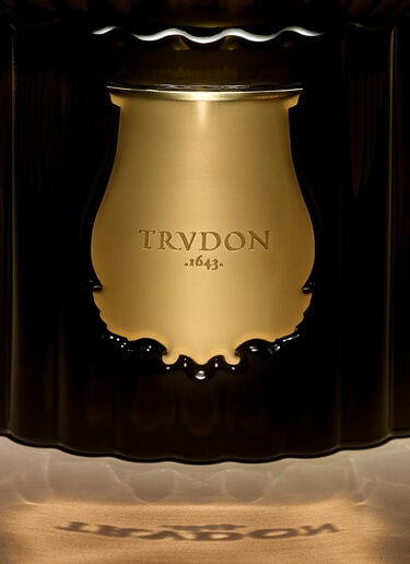 Ernesto Reed Diffuser Trudon Ernesto Reed Diffuser Green wps0670278