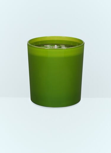 Dolce & Gabbana Casa Sicilian Orange Scented Candle Green wps0691248