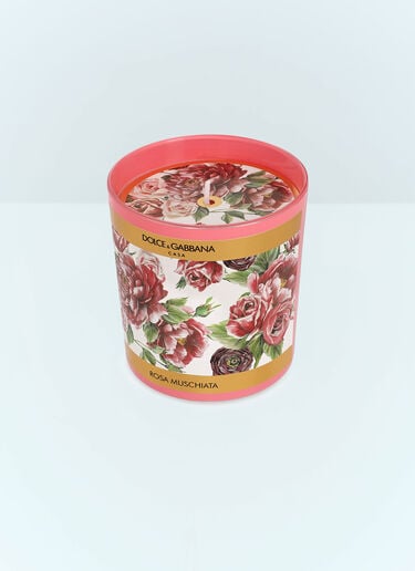 Musk Rose Scented Candle Dolce & Gabbana Casa Musk Rose Scented Candle Pink wps0691249