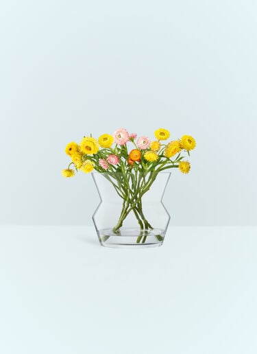 LSA International Medium Sculpt Vase Clear wps0691318