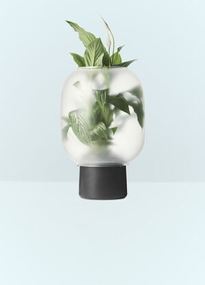 Gejst Nebi Flowerpot Black wps0691334