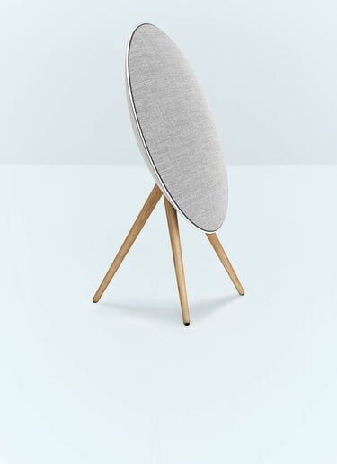 Bang & Olufsen Beoplay A9 5.G Speaker Silver wps0691471