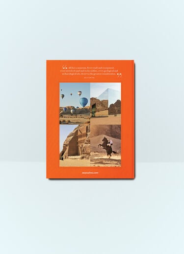 Assouline Alula Ever Orange wps0691712