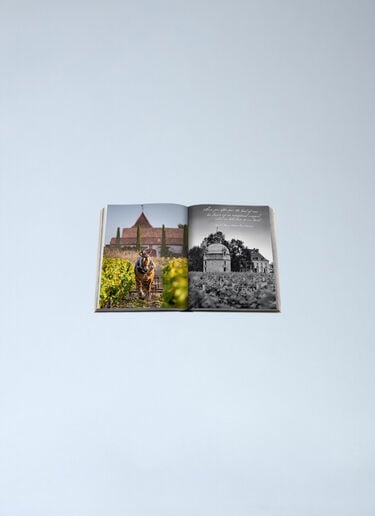 Assouline Wine & Travel France Orange wps0691914