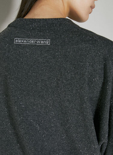 Crystal Sweater Alexander Wang Crystal Sweater Grey awg0253056
