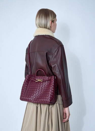 Bottega Veneta Medium Andiamo Handbag Burgundy bov0260013