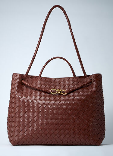 Bottega Veneta Large Andiamo Handbag Brown bov0260038