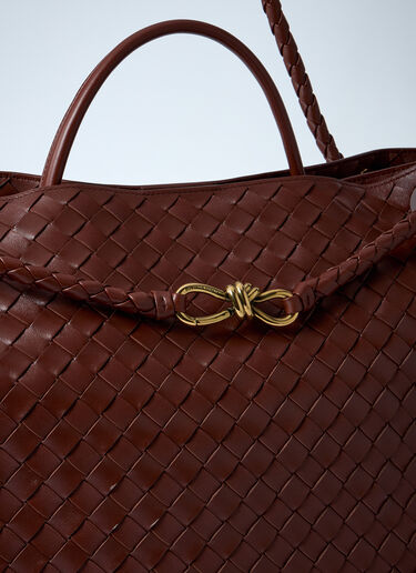 Bottega Veneta Large Andiamo Handbag Brown bov0260038