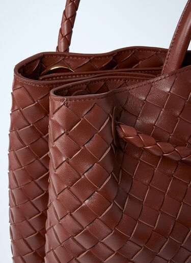 Bottega Veneta Large Andiamo Handbag Brown bov0260038