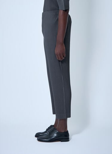 褶裥长裤 Homme Plissé Issey Miyake 褶裥长裤 灰色 hmp0160017