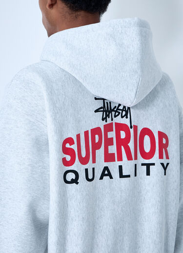 Stüssy Logo Motif Zip-Up Sweatshirt Grey sts0161004
