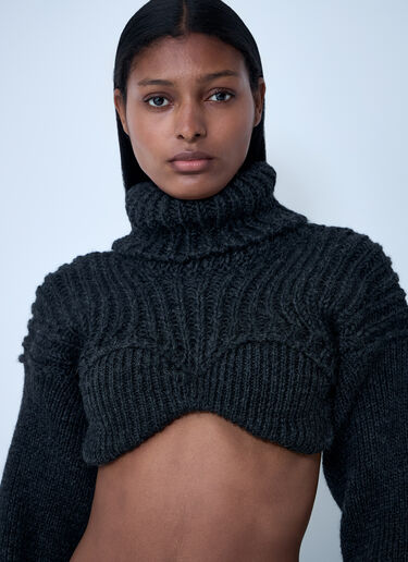 Cropped High Neck Sweater Acne Studios Cropped High Neck Sweater Grey acn0258002