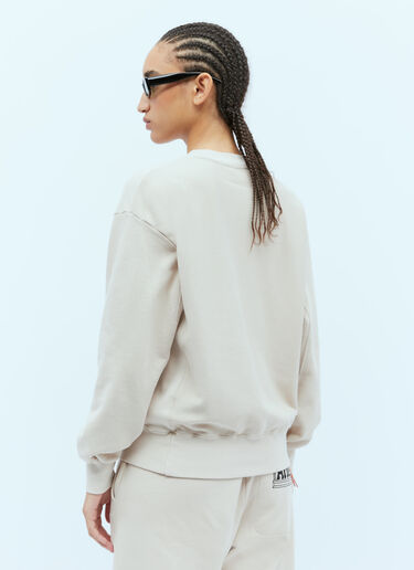 Premium Temple Sweatshirt Aries Premium Temple Sweatshirt Beige ari0254014